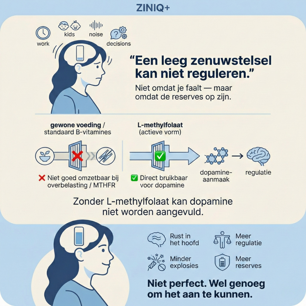 ZINIQ+ MethylFocus Adults | Activated folate for calm, focus, and mental resilience
