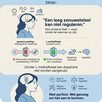 ZINIQ+ MethylFocus Adults | Activated folate for calm, focus, and mental resilience